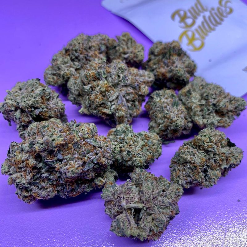 π STARDAWG β CLASSIC STRAIN π₯