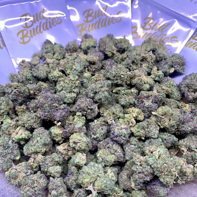 RAINBOW ZANGRIA (AAA Grade)