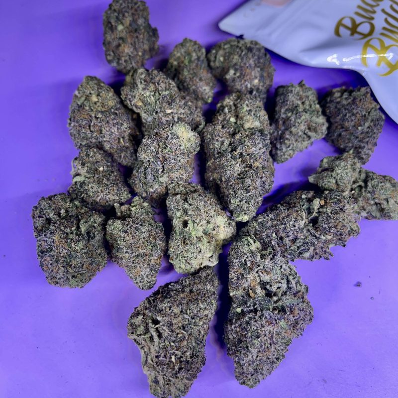 π΅ BLUE ZANGRIA β AAA QUALITY π₯