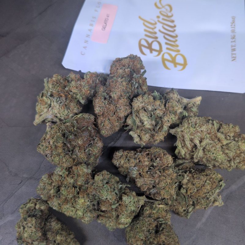 GELATO 41