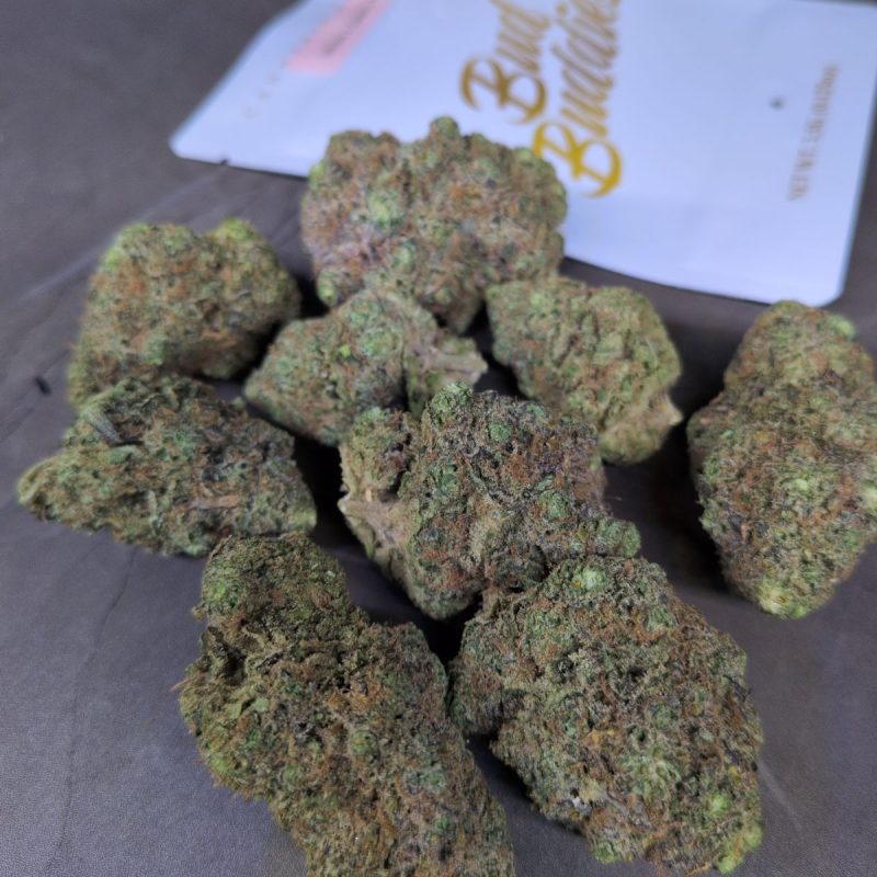 LEMON X GELATO 41