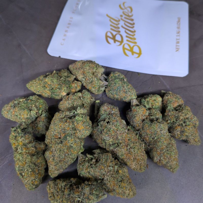🍬 GUMBO 🍬